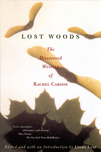 Cover image: Lost Woods 9780807085479