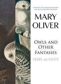 Cover image: Owls and Other Fantasies 9780807068755