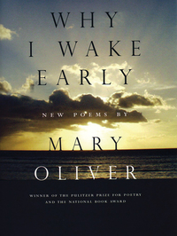 Cover image: Why I Wake Early 9780807068793