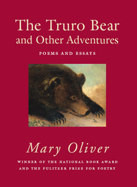 Cover image: The Truro Bear and Other Adventures 9780807068854
