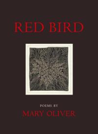 Cover image: Red Bird 9780807068939