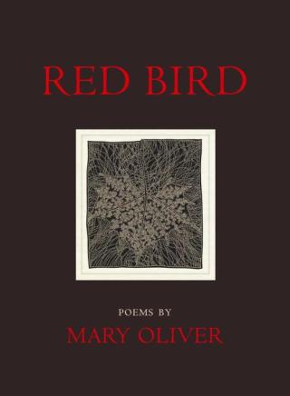 Cover image: Red Bird 9780807068939