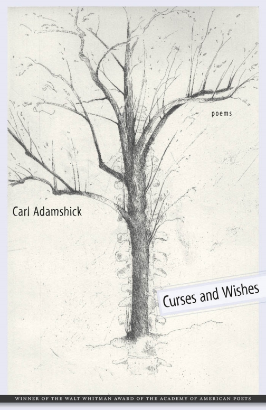 Curses and Wishes Poems
