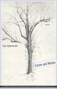 Cover image: Curses and Wishes 9780807137765