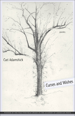 Imagen de portada: Curses and Wishes 9780807137765