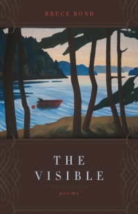 Imagen de portada: The Visible 9780807142707