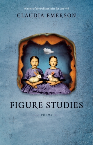 Cover image: Figure Studies 9780807133613