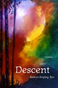 Cover image: Descent 9780807147504