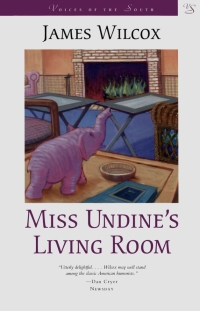 Cover image: Miss Undine's Living Room 9780807151341