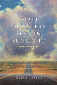Cover image: Small Disasters Seen in Sunlight 9780807154533