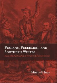 Imagen de portada: Fenians, Freedmen, and Southern Whites 9780807154823