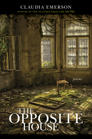 Cover image: The Opposite House 9780807158517
