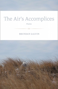 Cover image: The Air's Accomplices 9780807159033