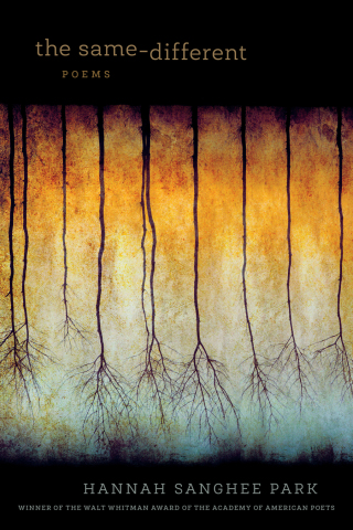 表紙画像: The Same-Different 9780807160107
