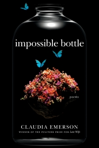 صورة الغلاف: Impossible Bottle 9780807160831