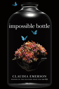 صورة الغلاف: Impossible Bottle 9780807160831