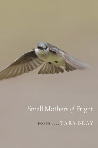 Cover image: Small Mothers of Fright 9780807161661