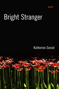 Cover image: Bright Stranger 9780807162415