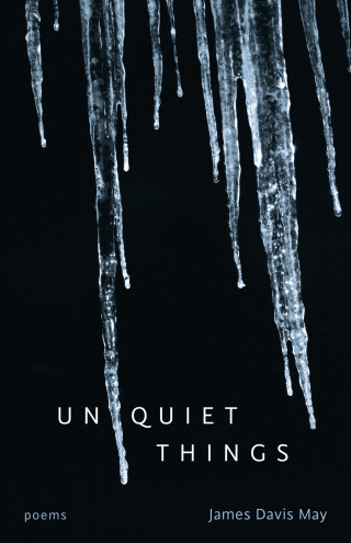 Cover image: Unquiet Things 9780807162613