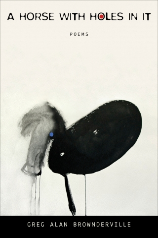 Cover image: A Horse with Holes in It 9780807163542