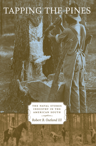 Cover image: Tapping the Pines 9780807173886