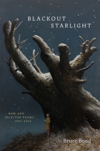 Cover image: Blackout Starlight 9780807165331