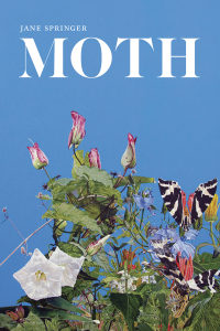 Cover image: Moth 9780807167922