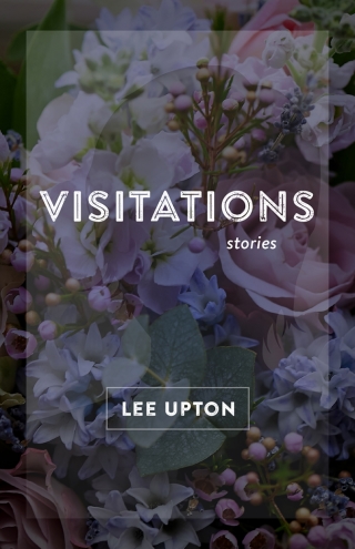Imagen de portada: Visitations 9780807168127