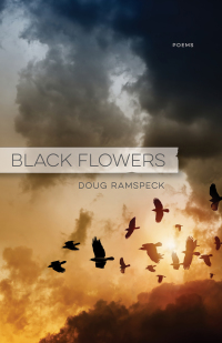 Imagen de portada: Black Flowers 9780807168264