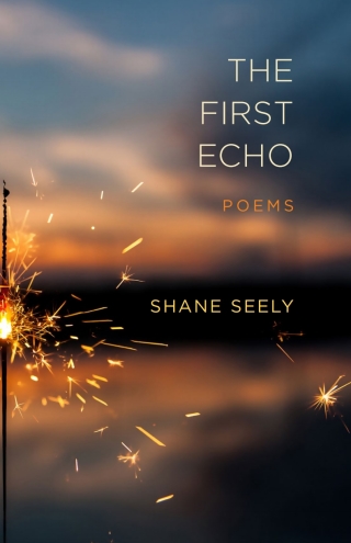 Omslagafbeelding: The First Echo 9780807169636