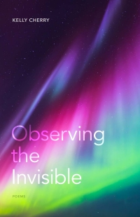 Cover image: Observing the Invisible 9780807170076