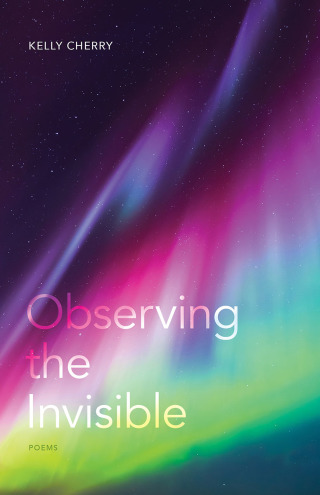 Cover image: Observing the Invisible 9780807170076