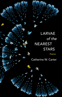 Cover image: Larvae of the Nearest Stars 9780807169889