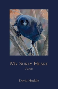 Cover image: My Surly Heart 9780807170724