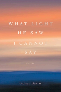 صورة الغلاف: What Light He Saw I Cannot Say 9780807173367