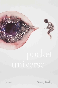 Cover image: Pocket Universe 9780807175835