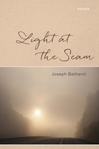 Cover image: Light at the Seam 9780807176924