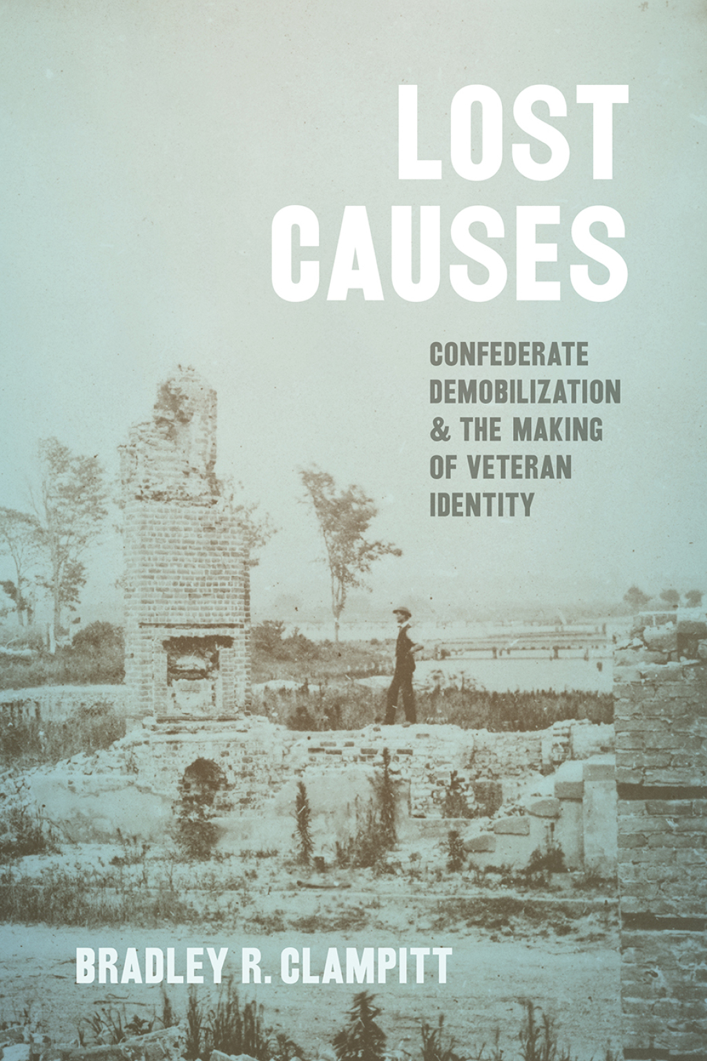 Lost Causes Confederate Demobilization and the Making of Veteran Identity