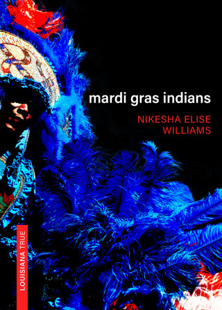 表紙画像: Mardi Gras Indians 9780807178706