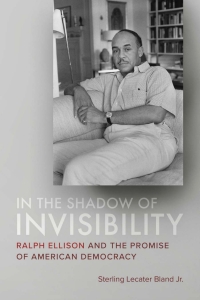 Cover image: In the Shadow of Invisibility 9780807178508