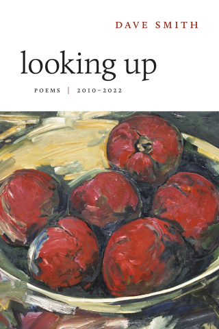 Imagen de portada: Looking Up 9780807178522