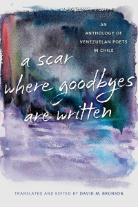 Omslagafbeelding: A Scar Where Goodbyes Are Written 9780807179192