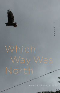 Cover image: Which Way Was North 9780807179314