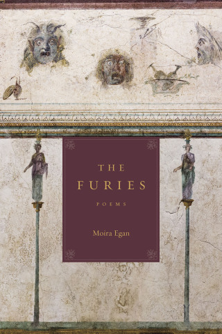 Cover image: The Furies 9780807184981