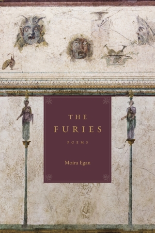Cover image: The Furies 9780807184981
