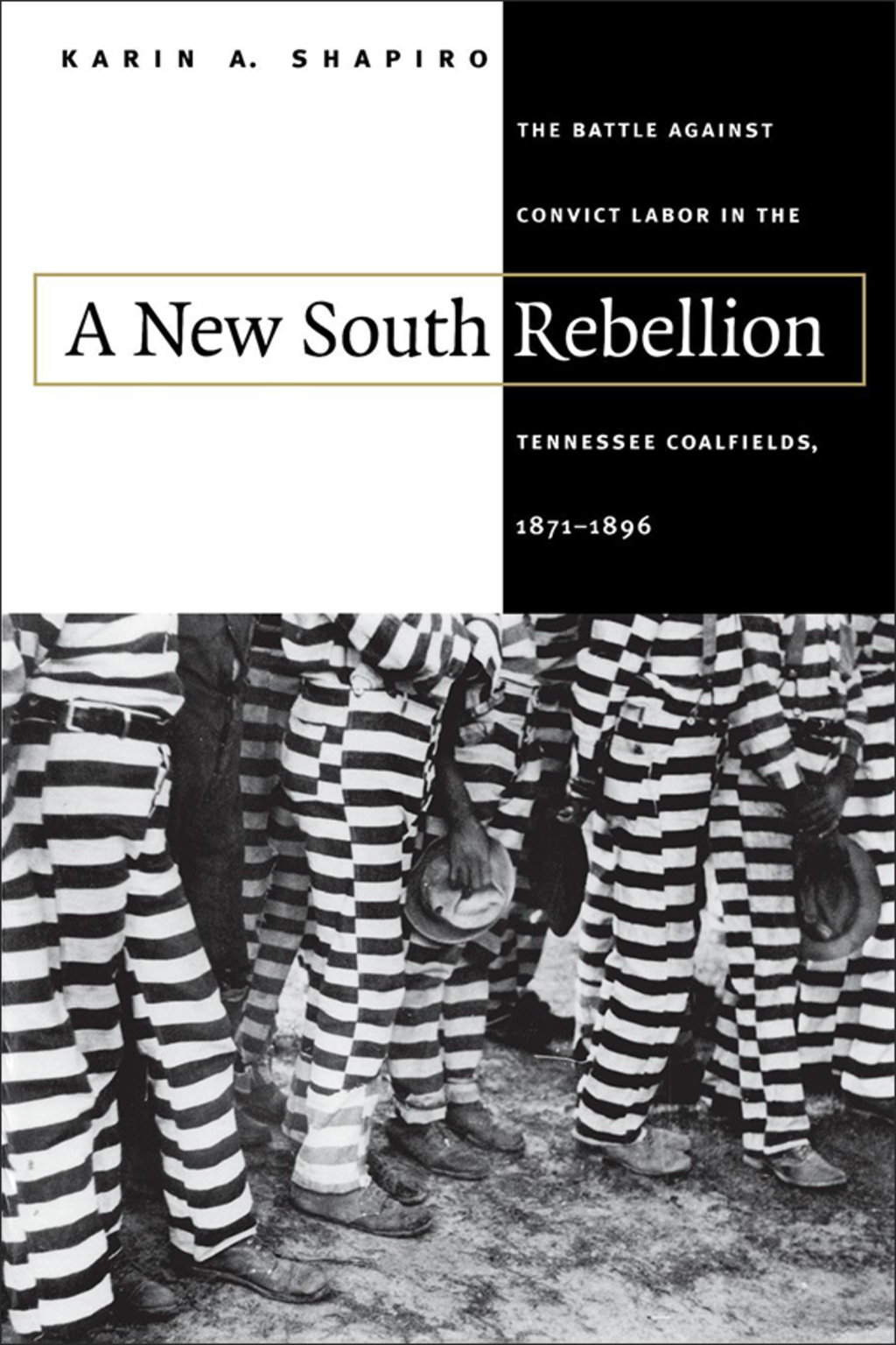 A New South Rebellion The Battle against Convict Labor in the Tennessee Coalfields, 1871-1896 1st Edition
    Newer Edition Available