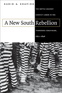 Cover image: A New South Rebellion 1st edition 9780807824238