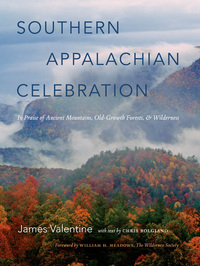 Omslagafbeelding: Southern Appalachian Celebration 1st edition 9780807835142