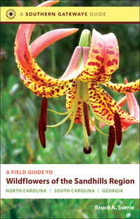 صورة الغلاف: A Field Guide to Wildflowers of the Sandhills Region 9780807834664