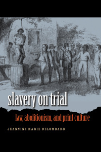 Omslagafbeelding: Slavery on Trial 9780807858127